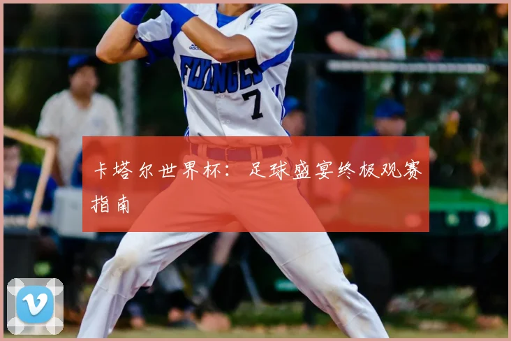 卡塔尔世界杯：足球盛宴终极观赛指南