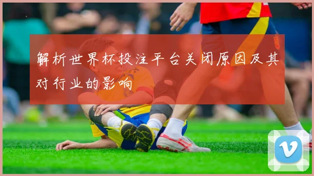 解析世界杯投注平台关闭原因及其对行业的影响