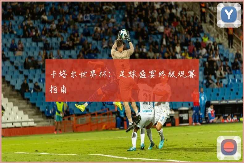 卡塔尔世界杯：足球盛宴终极观赛指南