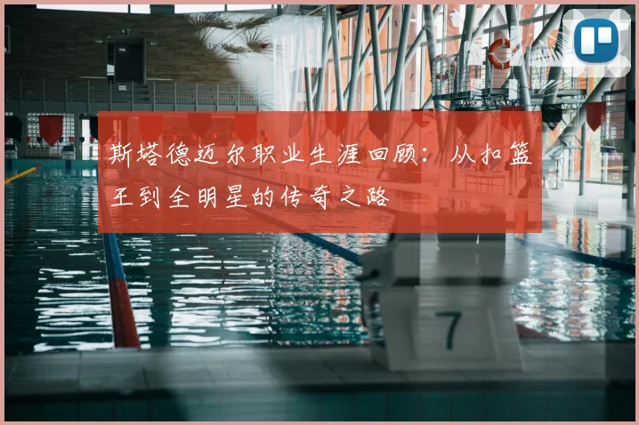 斯塔德迈尔职业生涯回顾：从扣篮王到全明星的传奇之路