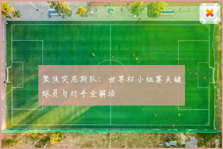 聚焦突尼斯队：世界杯小组赛关键球员与对手全解读