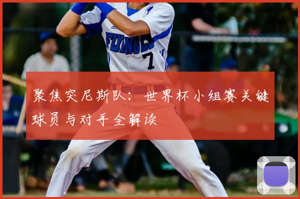 聚焦突尼斯队：世界杯小组赛关键球员与对手全解读