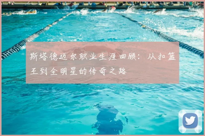 斯塔德迈尔职业生涯回顾：从扣篮王到全明星的传奇之路