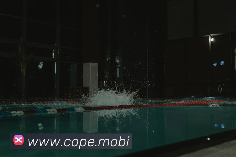 多媒体互动体验