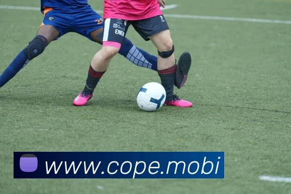 爱体育登陆地址APP 高清赛事图